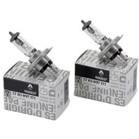 2X_ORIGNAL_RENAULT_HALOGENLAMPE_H4_PP605P282E_201905200943_99.jpg
