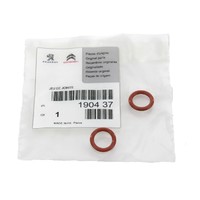 CITROEN-PEUGEOT_DICHTUNG_KRAFTSTOFFFILTER_190437_PE701R313E_201905201005_99.jpg