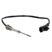 FIAT_SENSOR_ABGASTEMPERATUR_51909088_FI450T214X_202105111508.jpg